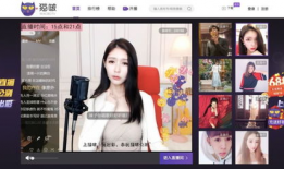 91高清直播种子链接,畅享无界视听盛宴